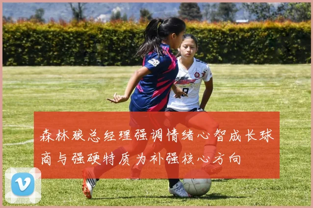 森林狼总经理强调情绪心智成长球商与强硬特质为补强核心方向