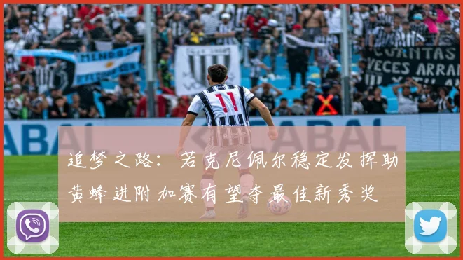 追梦之路：若克尼佩尔稳定发挥助黄蜂进附加赛有望夺最佳新秀奖